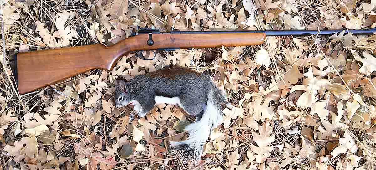 Almost 80 years old, this Model 69 is still a go-to 22 for varmints and small game.